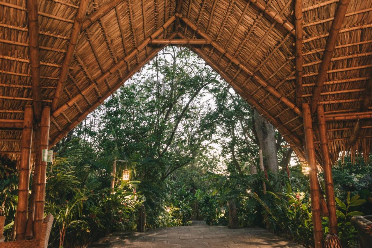 Dreamsea Surf Resort Nicaragua ซานฮวนเดลซูร์ ภายนอก รูปภาพ