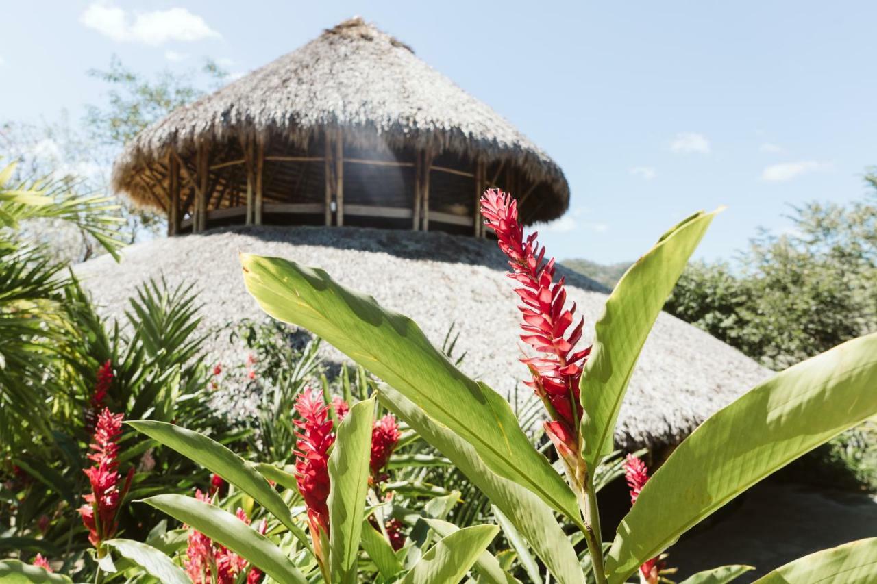 Dreamsea Surf Resort Nicaragua ซานฮวนเดลซูร์ ภายนอก รูปภาพ